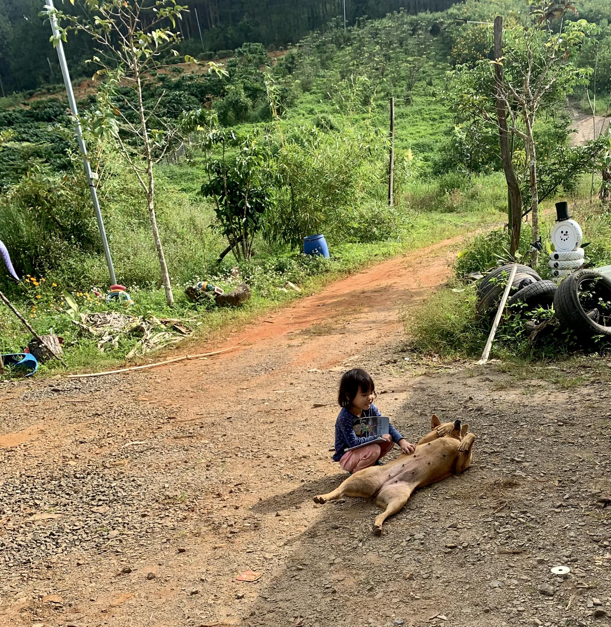 Tự do tài chính