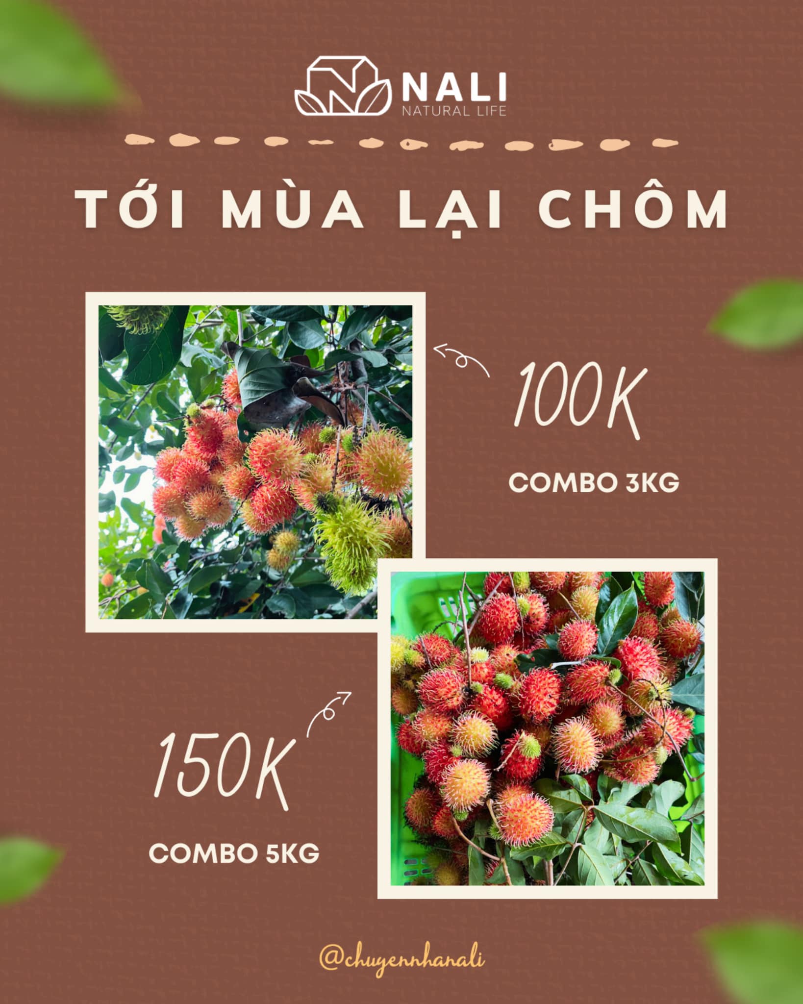 Tới mùa lại chôm